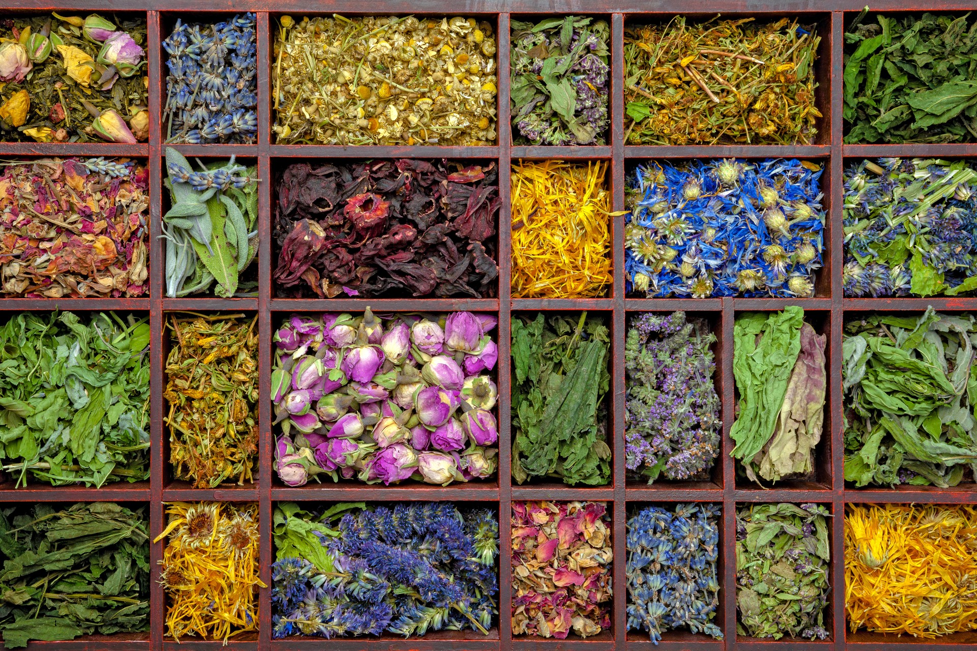 Herbal teas for wellness. Immune-boosting teas. Medicinal herbal teas for relaxation